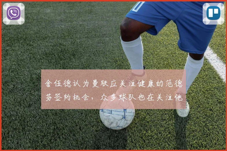 舍伍德认为曼联应关注健康的范德芬签约机会，众多球队也在关注他