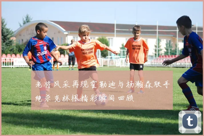老将风采再现霍勒迪与杨瀚森联手绝杀克林根精彩瞬间回顾
