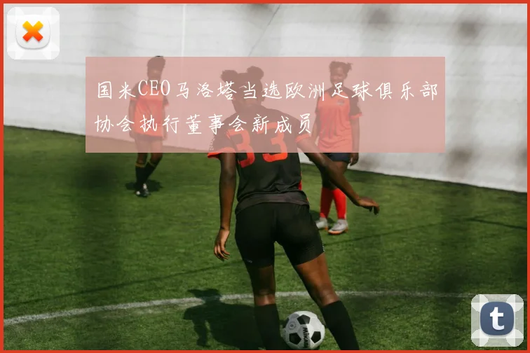 国米CEO马洛塔当选欧洲足球俱乐部协会执行董事会新成员