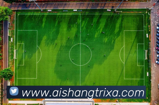 爱尚体育平台生态图